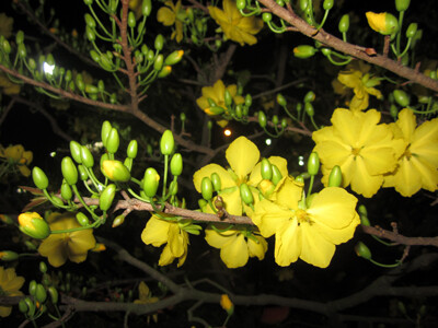 IMG_0013.jpg